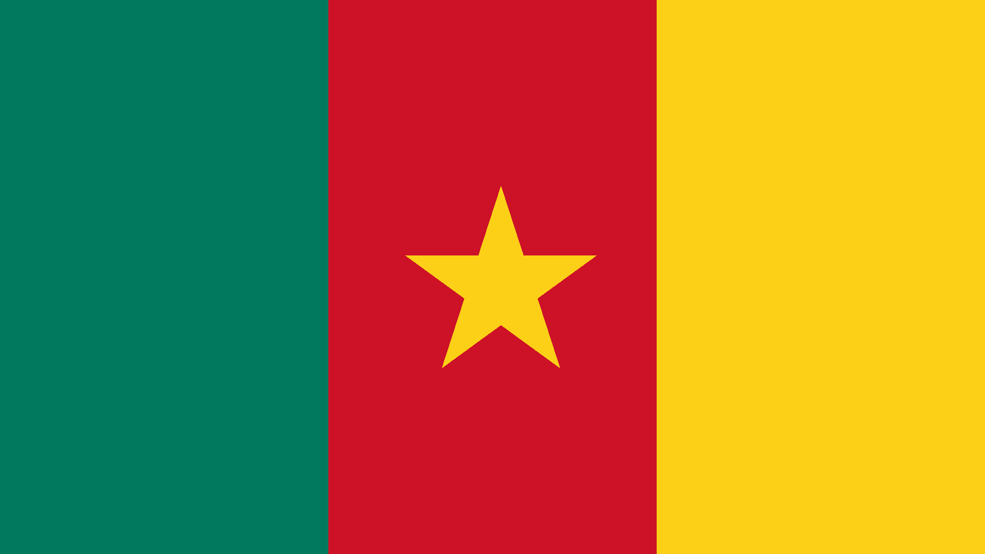 Flag of Cameroon